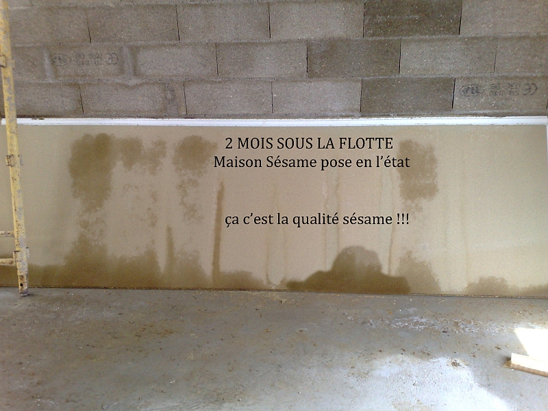 10042008158 copie.jpg